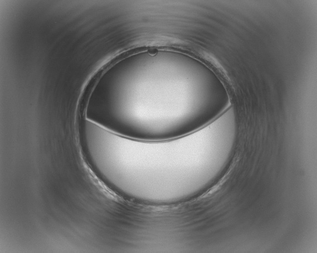 X0000074001122200608211101