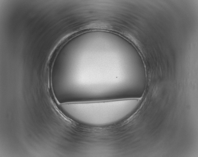 X0000074001123200608211101