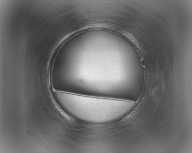 X0000074001127200608211101