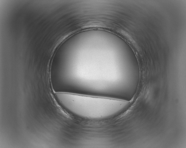 X0000074001129200608211101