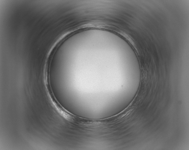X0000074001131200608211101