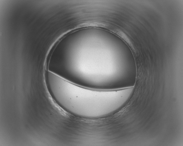 X0000074001132200608211101