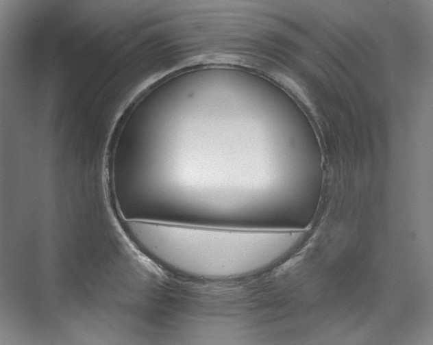 X0000074001133200608211101