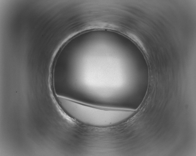 X0000074001136200608211101