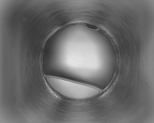 X0000074001137200608211101