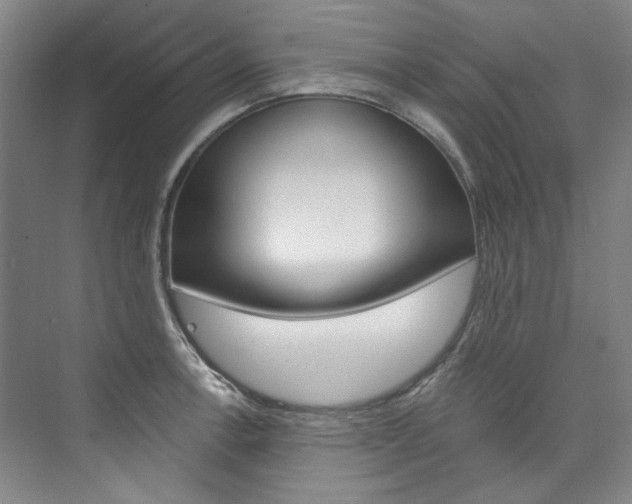 X0000074001138200608211101