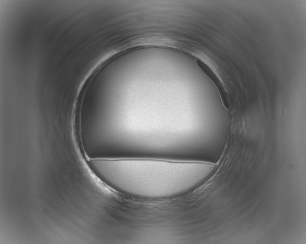 X0000074001139200608211101