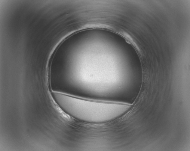X0000074001140200608211101