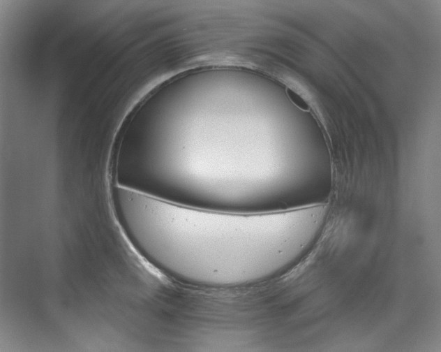 X0000074001141200608211101