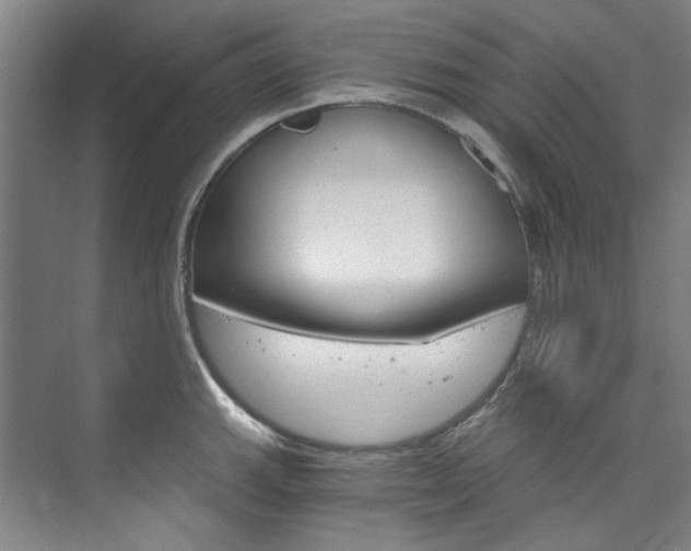 X0000074001143200608211101