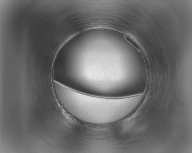 X0000074001145200608211101