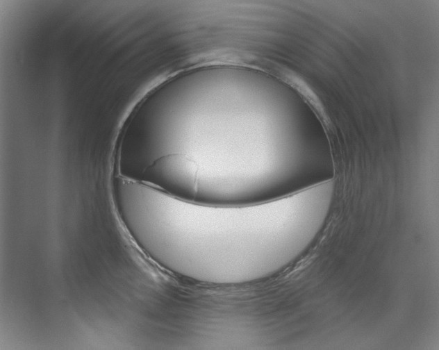 X0000074001146200608211101