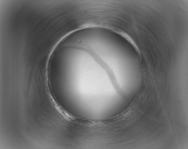 X0000074001148200608211101