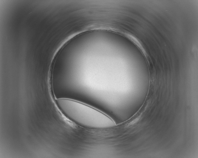 X0000074001149200608211101