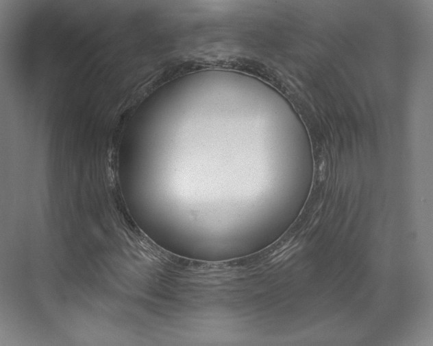 X0000074001156200608211100