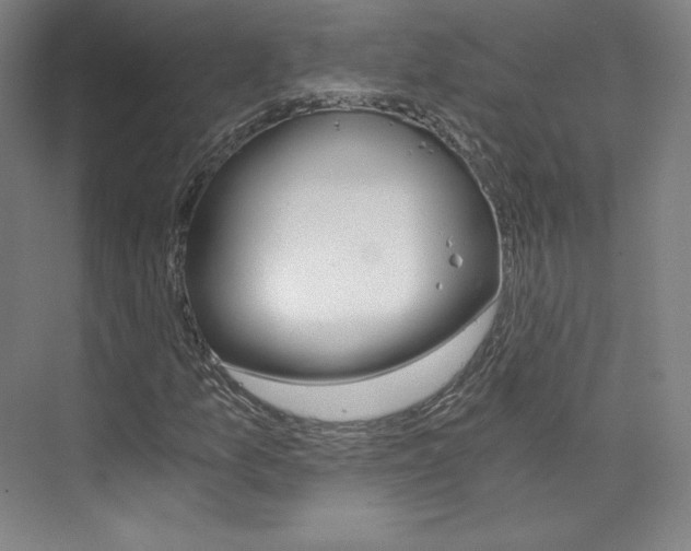 X0000074001157200608211100