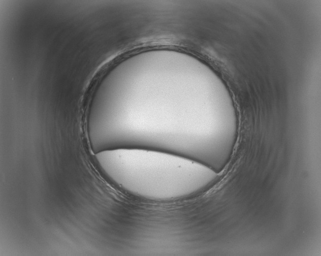 X0000074001166200608211100