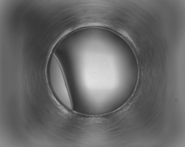 X0000074001181200608211100