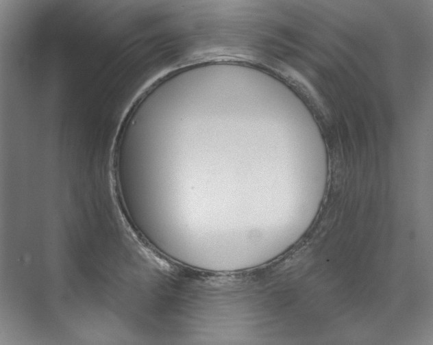 X0000074001182200608211100