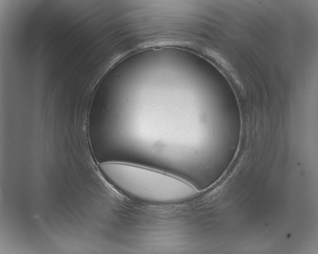 X0000074001185200608211100
