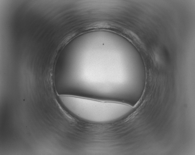 X0000074001225200608211059