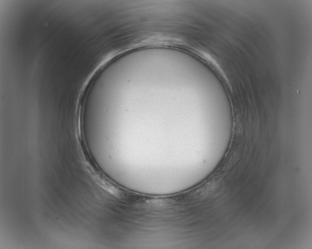 X0000074001227200608211059