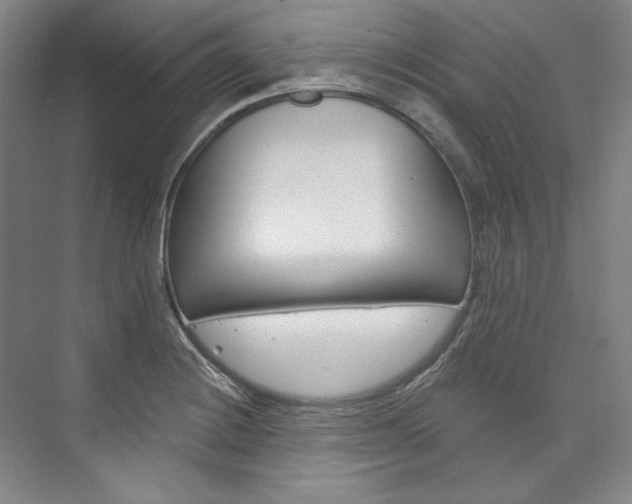 X0000074001228200608211059