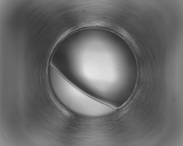 X0000074001234200608211059