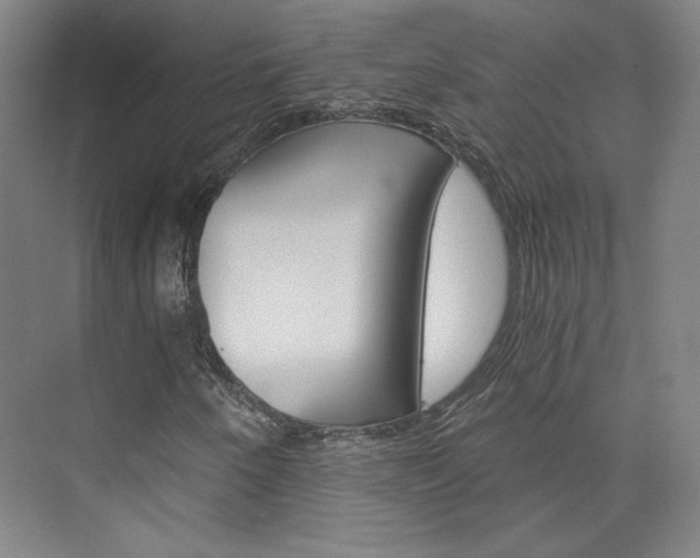 X0000074001250200608211059