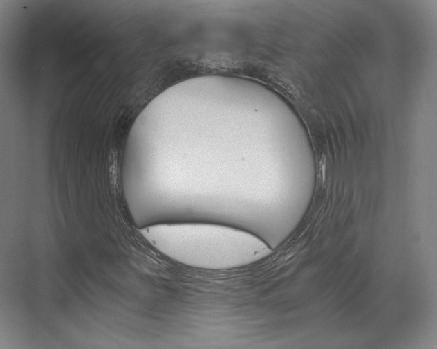 X0000074001251200608211059