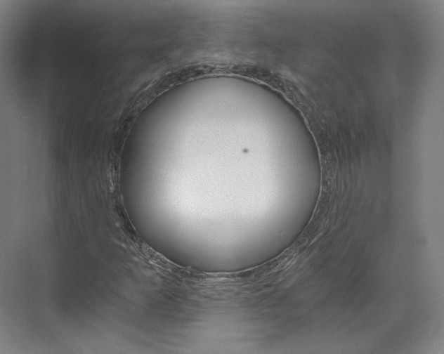 X0000074001253200608211059