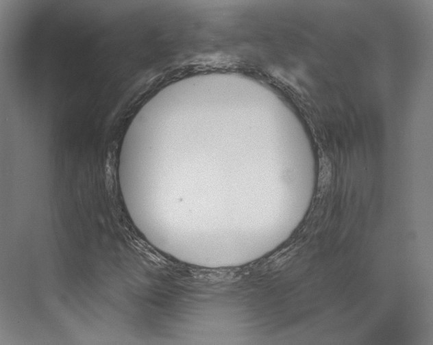 X0000074001254200608211059