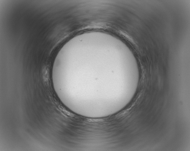 X0000074001258200608211058