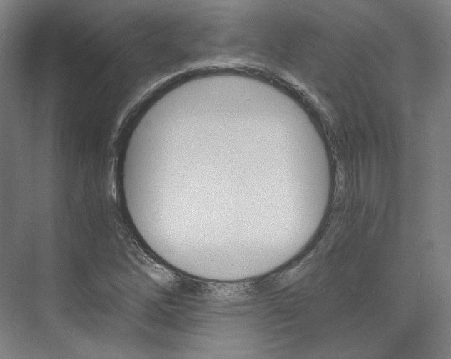 X0000074001262200608211058