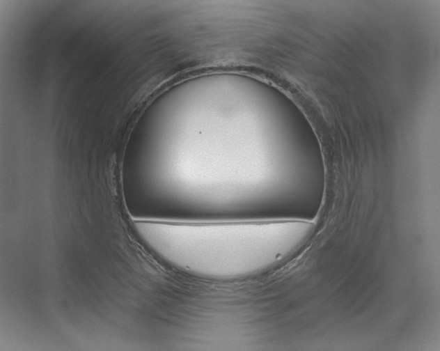 X0000074001265200608211058