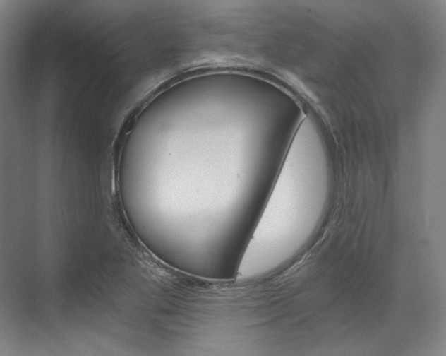 X0000074001269200608211058
