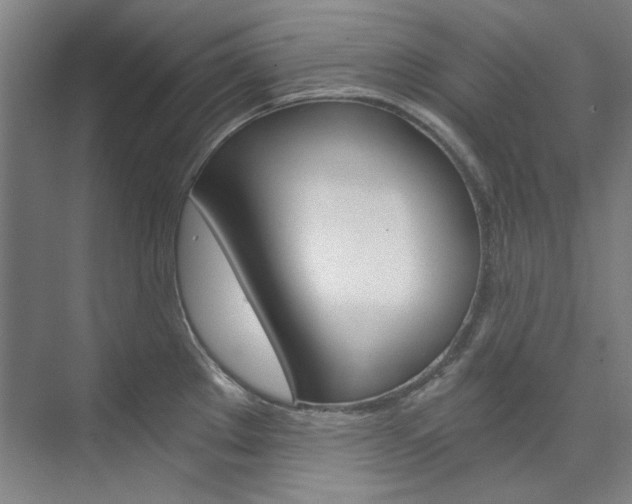 X0000074001289200608211058