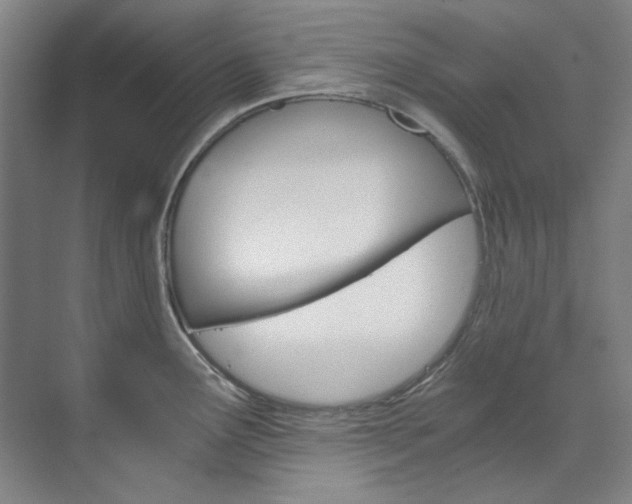 X0000074001291200608211058