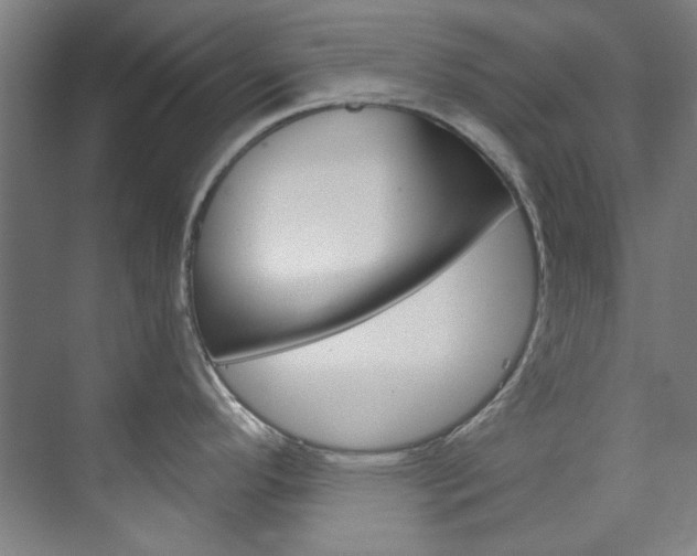 X0000074001296200608211058