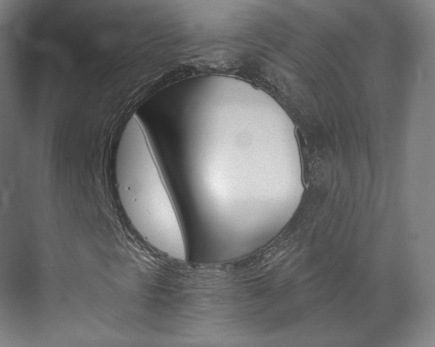 X0000074001297200608211057