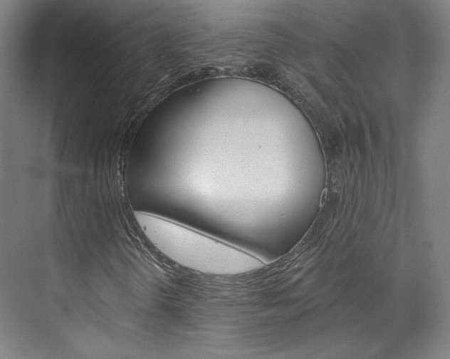 X0000074001298200608211057