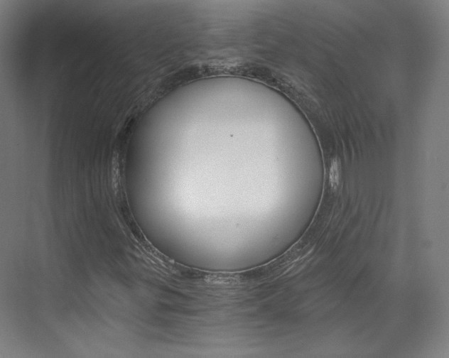 X0000074001299200608211057