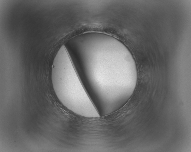 X0000074001301200608211057