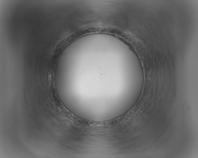X0000074001302200608211057