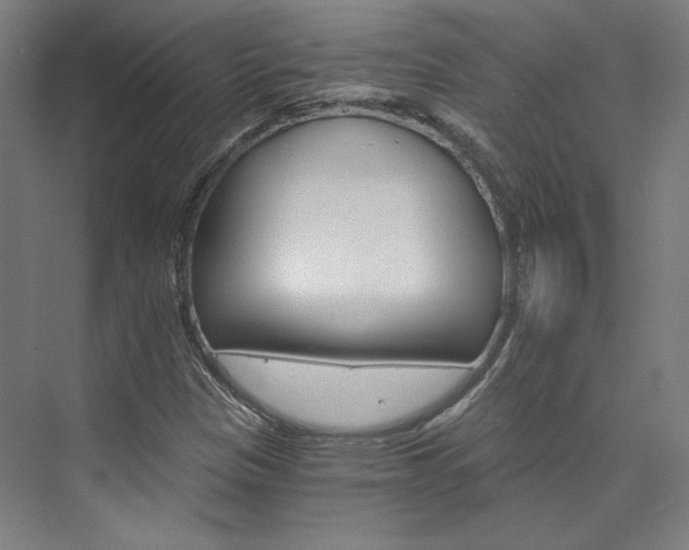 X0000074001305200608211057