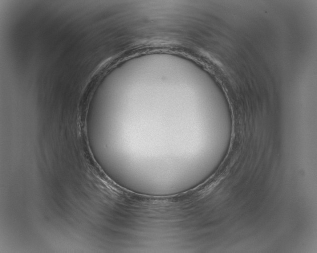 X0000074001306200608211057