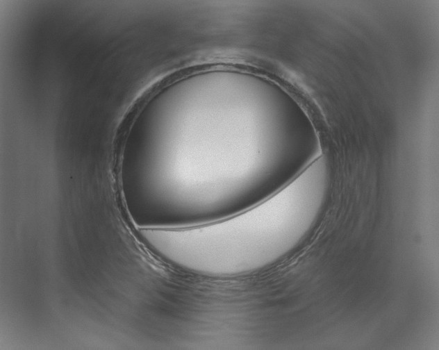 X0000074001312200608211057