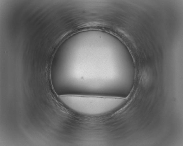 X0000074001313200608211057