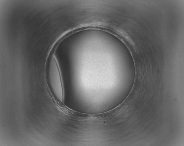 X0000074001316200608211057
