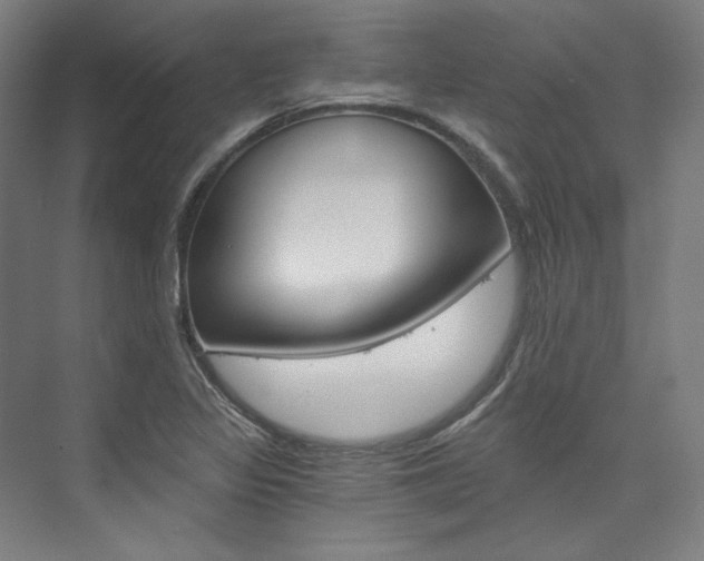 X0000074001317200608211057